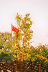 不是日本,真的真的是上海!!