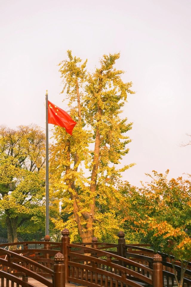 不是日本,真的真的是上海!! 不是日本,真的真的是上海!!