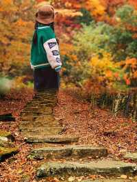 ●陝西黎坪國家森林公園！被光霧山掩蓋的紅葉秘境