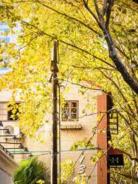 人生建議:12月逛完這些小馬路再離開上海!