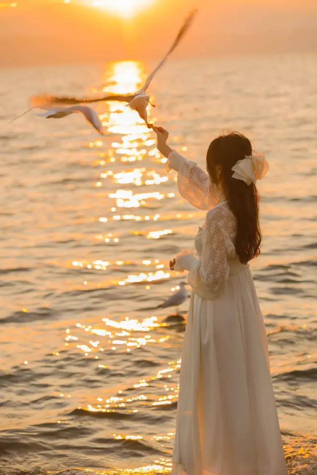 Hành trình chữa lành của Dali bắt đầu bằng thiền định ngắm bình minh cùng chú chim mòng biển này
