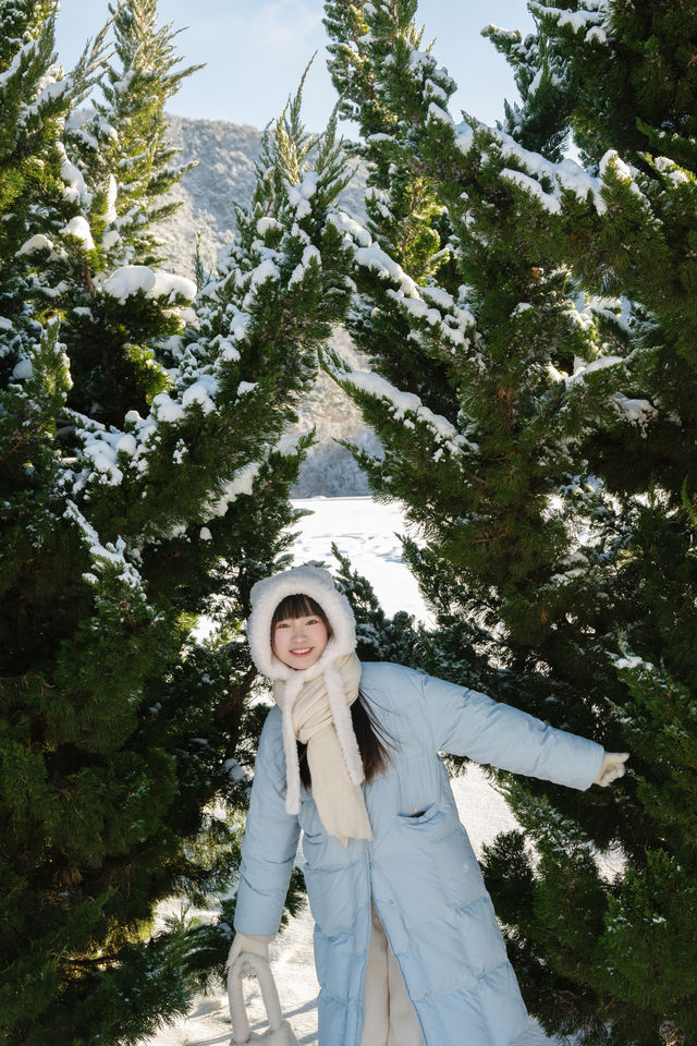 不用去塞納河畔雪後大連的星海廣場好美！