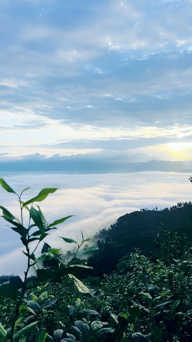 景迈山兩天一夜