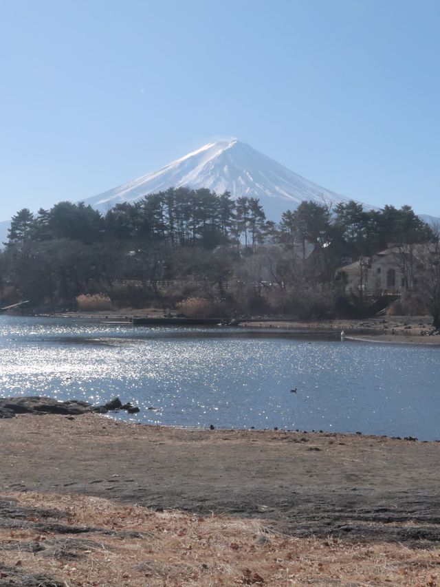 日本富士山河口湖必去地點大池公園景美超靜謐湖水雪山相映成趣