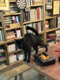 重慶軍哥書屋
