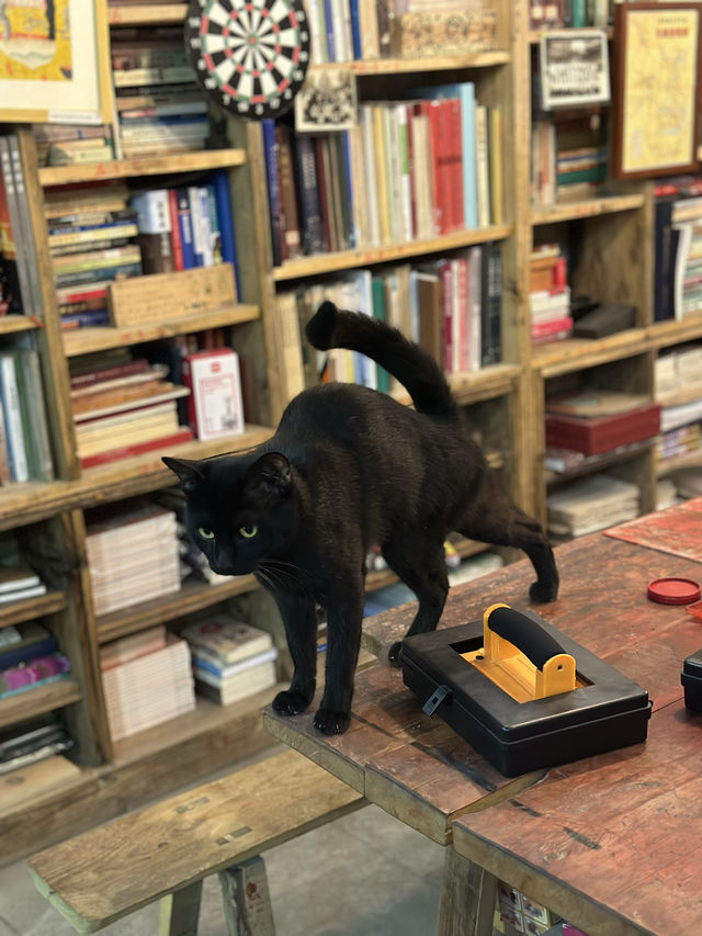 重慶軍哥書屋