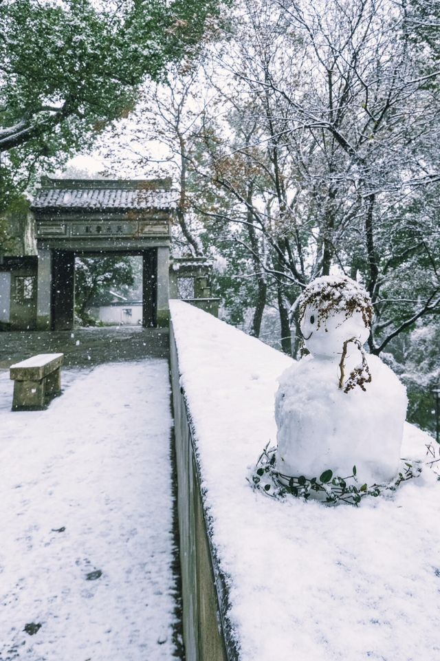 下雪後的虎丘直接封神愛了愛了