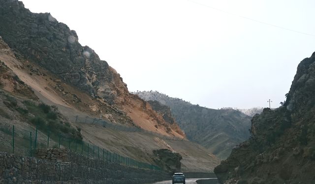 青海 德令哈之驚喜--柏樹山