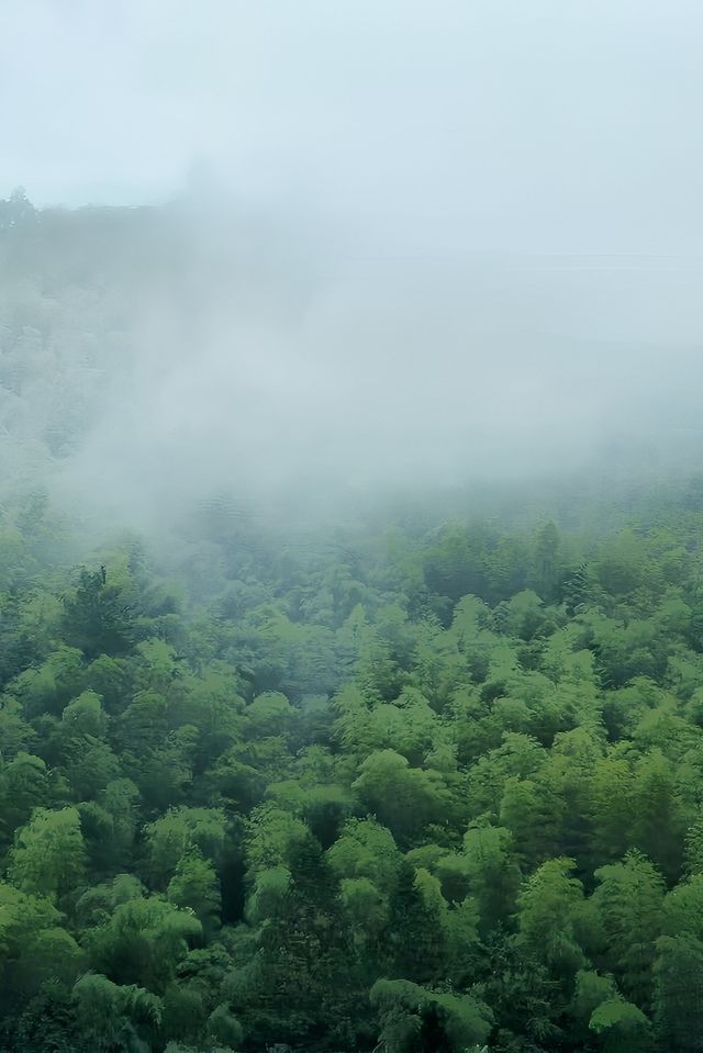 小眾旅遊地百山祖