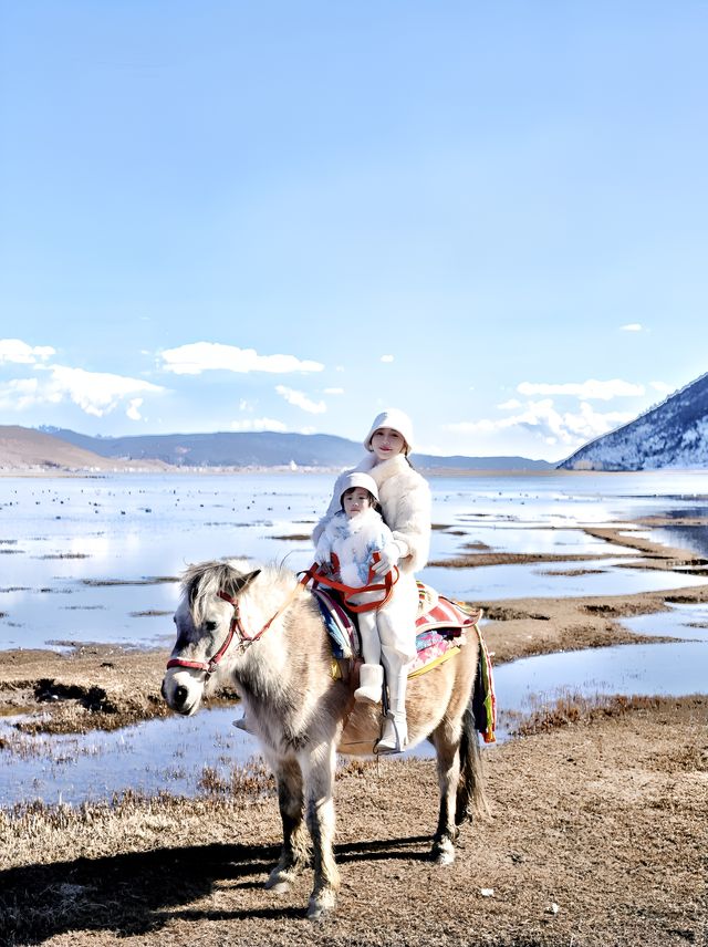 香格里拉｜住了一家每個窗口都像是一幅畫的民宿🪟