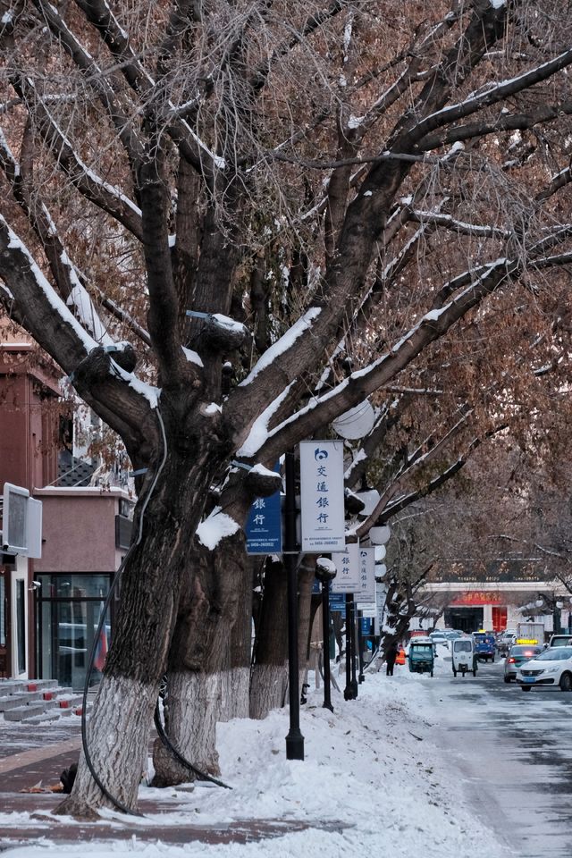 黑河的街巷，雪後如畫