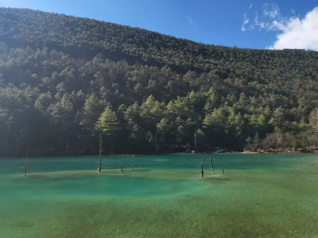 ฤดูหนาวของ Lijiang และปีใหม่เข้ากันได้ดี