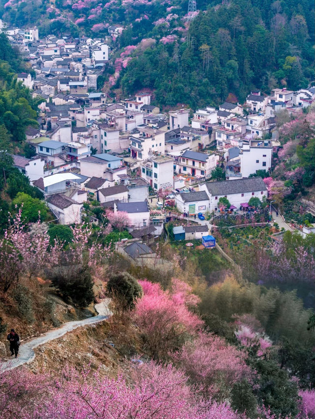 只賣花不打漁！ | 這個皖南仙境藏不住了!