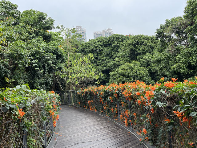 香蜜公園