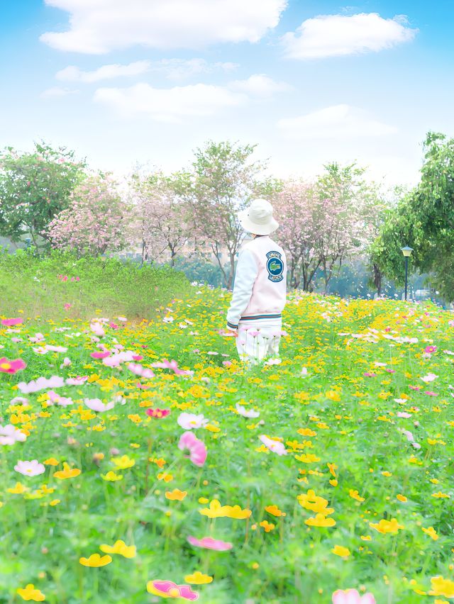 忘記海珠湖的格桑花吧，這裡更美