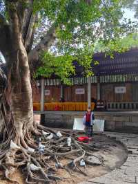 見證千年時光的雙塔就在泉州最美的開元寺