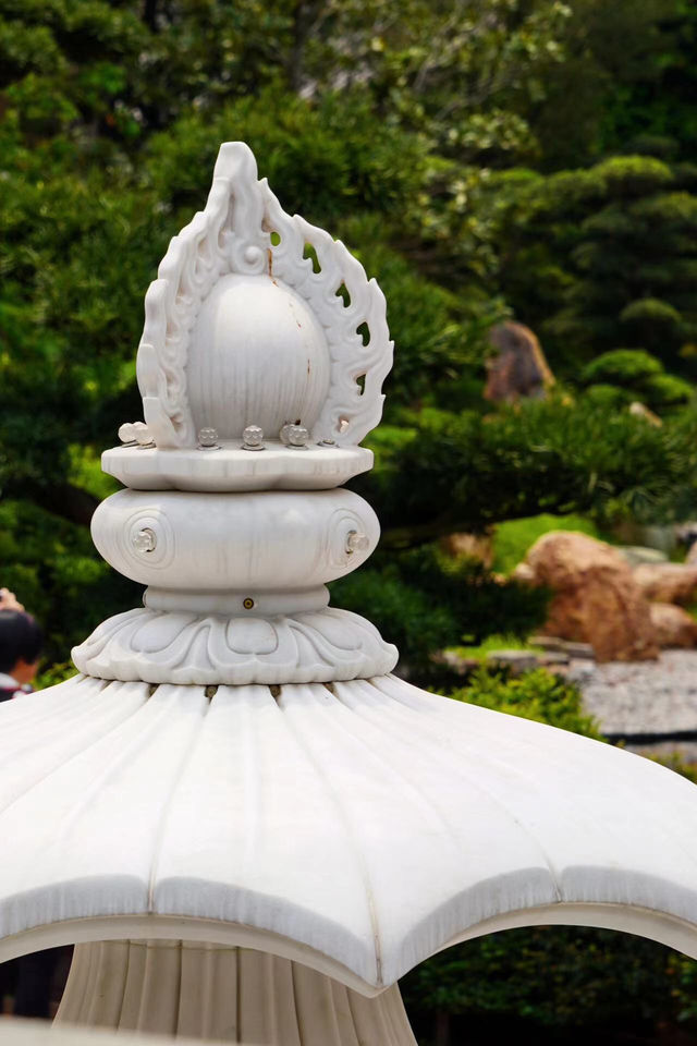 香港賞花好去處,蓮池的蓮花正當時! 香港賞花好去處,蓮池的蓮花正當時!