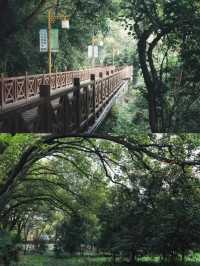 上海天馬山，千年斜塔屹立，此地好風水