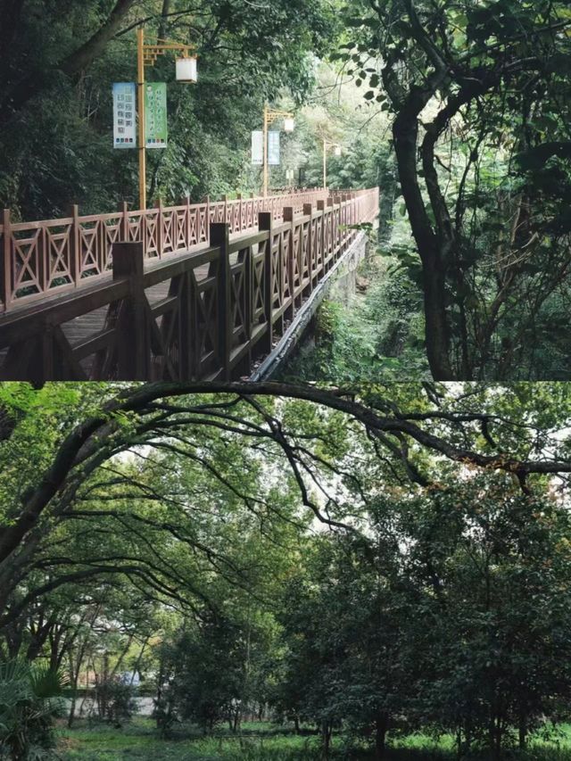 上海天馬山，千年斜塔屹立，此地好風水