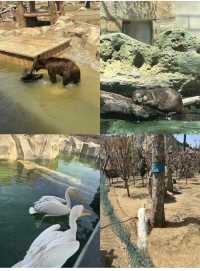 徐州九頂山野生動物園親子遊全攻略