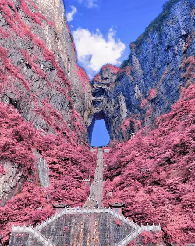 韓國人去張家界申請中國簽證非常簡單！