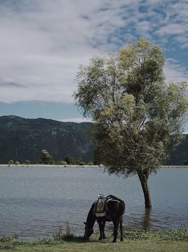 麗江小眾景點|玉湖，據說是最後一片淨土