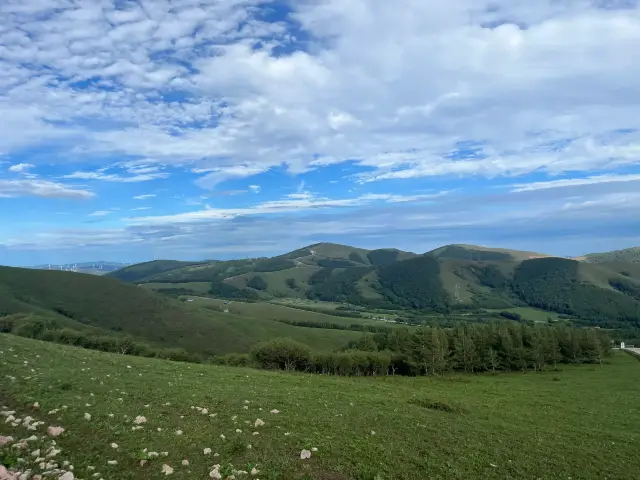 河北一片大草原景區，是夏季避暑勝地