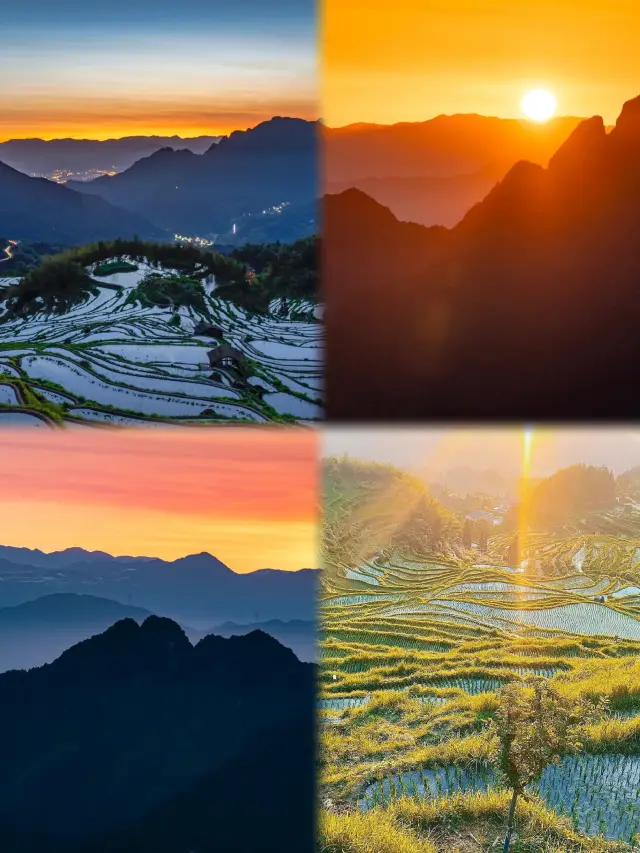 The Jiangsu-Zhejiang-Shanghai region dazzles with a cloud sea sunrise, offering a dreamy two-day, one-night journey through the terraced fields of Yunhe in Lishui