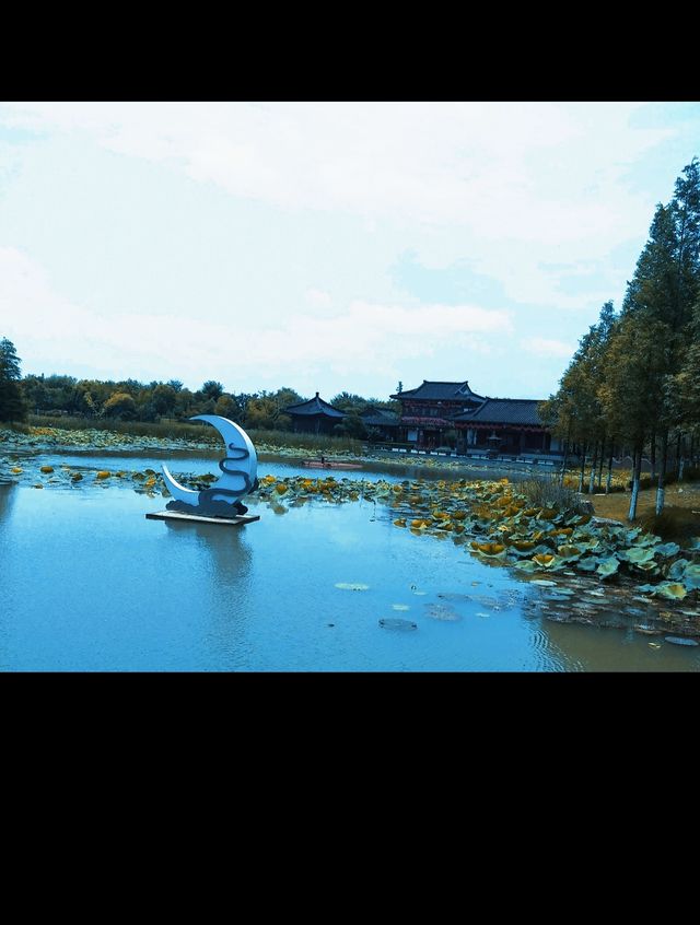 「情感與景色的交響樂｜一次難忘的旅程