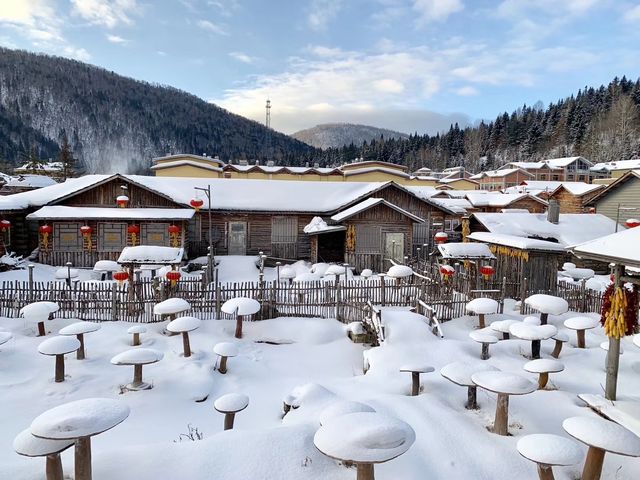 在雪鄉，聽見下雪的聲音