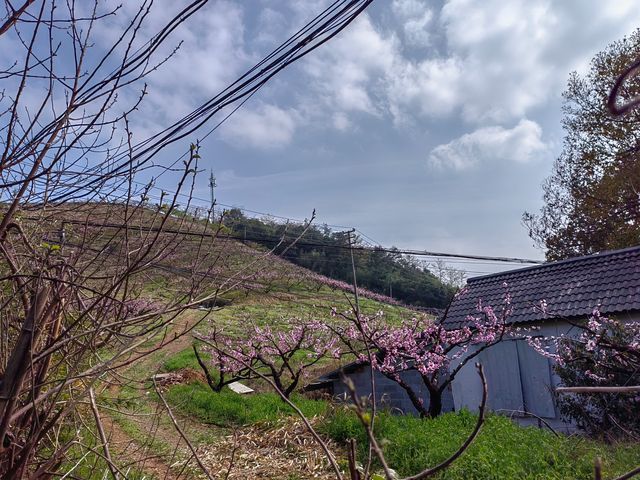 春日的莫干山，逍遙又自在
