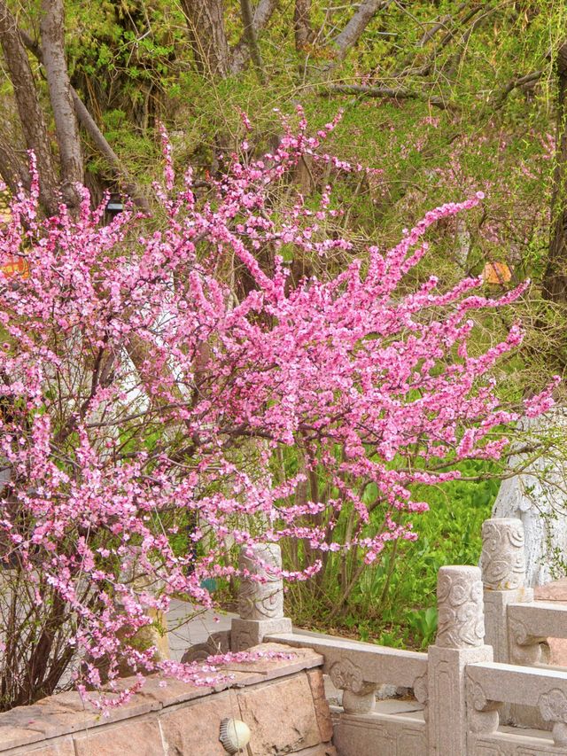 人民公園，妳玩得可真花啊