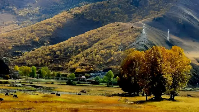 Jiagenba | A Secret Gem in Western Sichuan, The Most Beautiful Scenery is on the Road