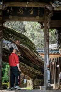 海拔千米，穿越千年時空的浙江最美古寺