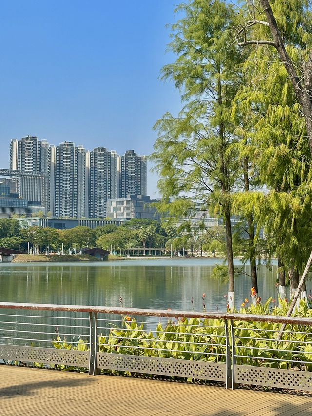 大自然氧吧文翰湖公園