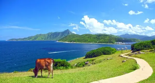 The lush green grass is before the blue ocean - the stunning scenery of Tap Mun Island