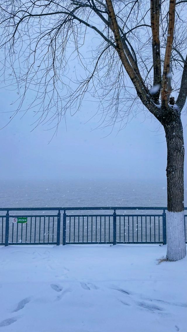 2024年武昌江灘雪景