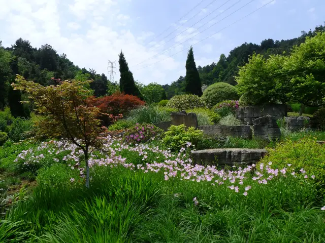 鮮花山谷——登高雲山·雲谷花境