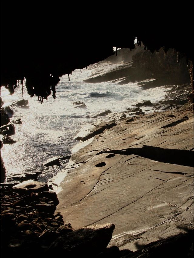 這不是動物園這裡是榮登孤獨星球的袋鼠島…