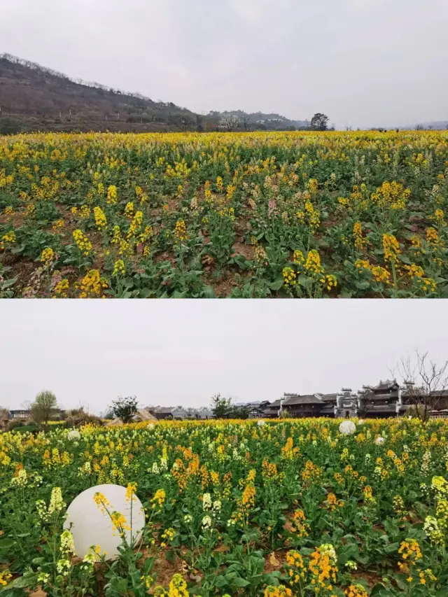 이것은 강남의 수상 마을이 아니라, 이것은 사천성 이빈의 이빈, 장강의 첫 번째 도시입니다