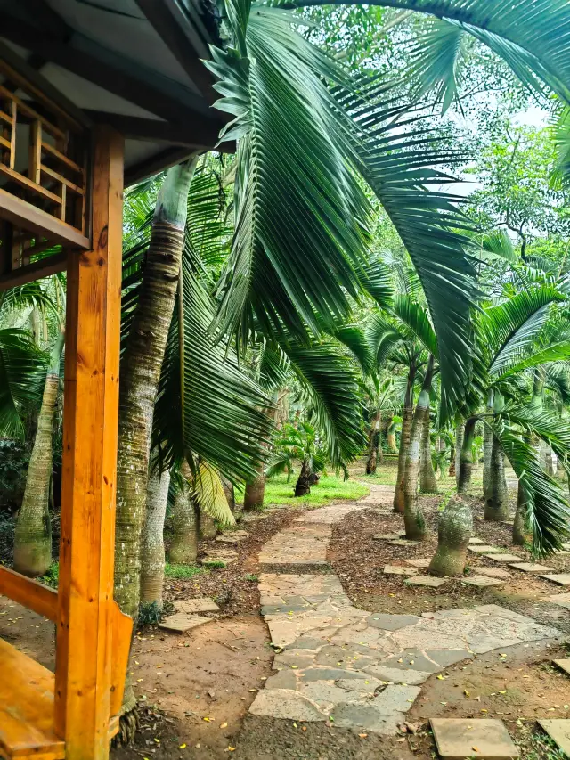 Leiqiong Volcano