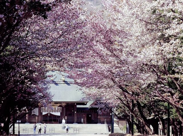 Picnics, baseball and cherry blossoms