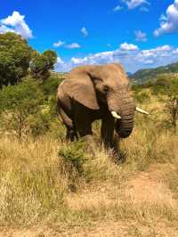 甜水野生動物保護區——野生動物的天堂！