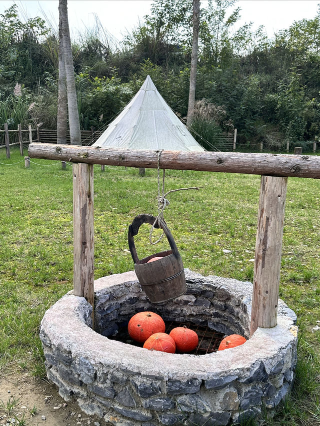 成都｜每週都爆滿的營地，遛娃春遊一定提前約