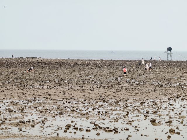 玩轉湛江｜中國大陸最南端·徐聞縣燈樓角