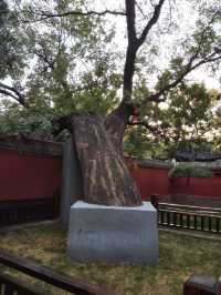 河北正定凌霄塔（唐朝）-中國現存兩座半木結構古塔之一