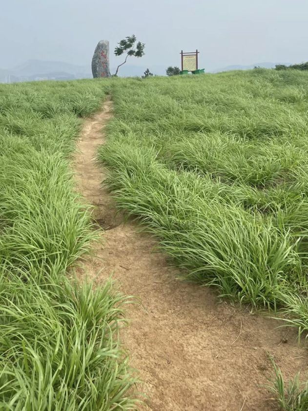 武漢周邊自己的大草原