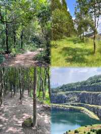 油麻山森林公園：竹林溪澗親子遊，撈魚捉蝦樂逍遙！