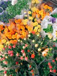 春日鮮花開滿街 | in旺角花墟
