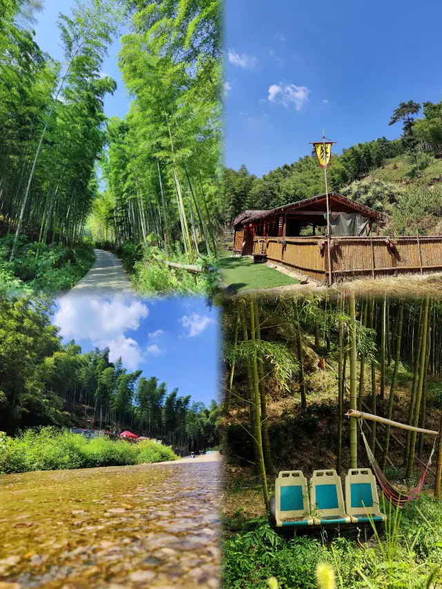 ชายานสีเขียวที่สวนชาและสวรรค์แห่งไผ่ นี่คือทริป 2 วันที่น่าตื่นเต้นในเมืองสมบัติเล็กๆ อย่างอี้ซิง!